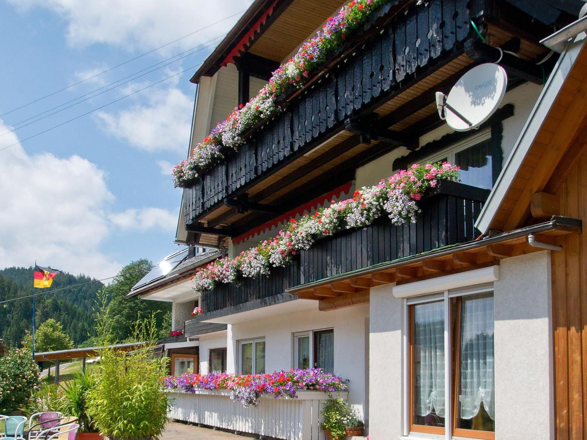 Landpension Am Sommerhang Bad Rippoldsau-Schapbach ภายนอก รูปภาพ