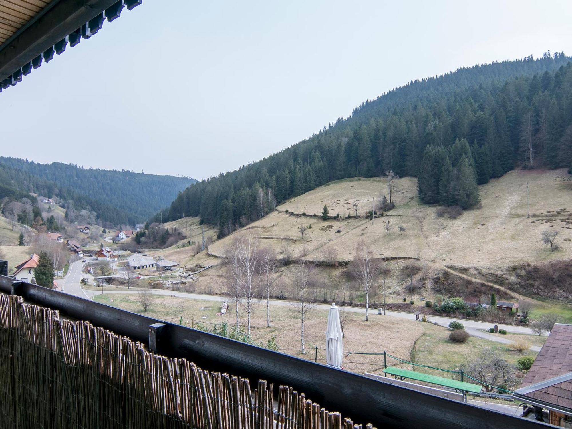 Landpension Am Sommerhang Bad Rippoldsau-Schapbach ภายนอก รูปภาพ
