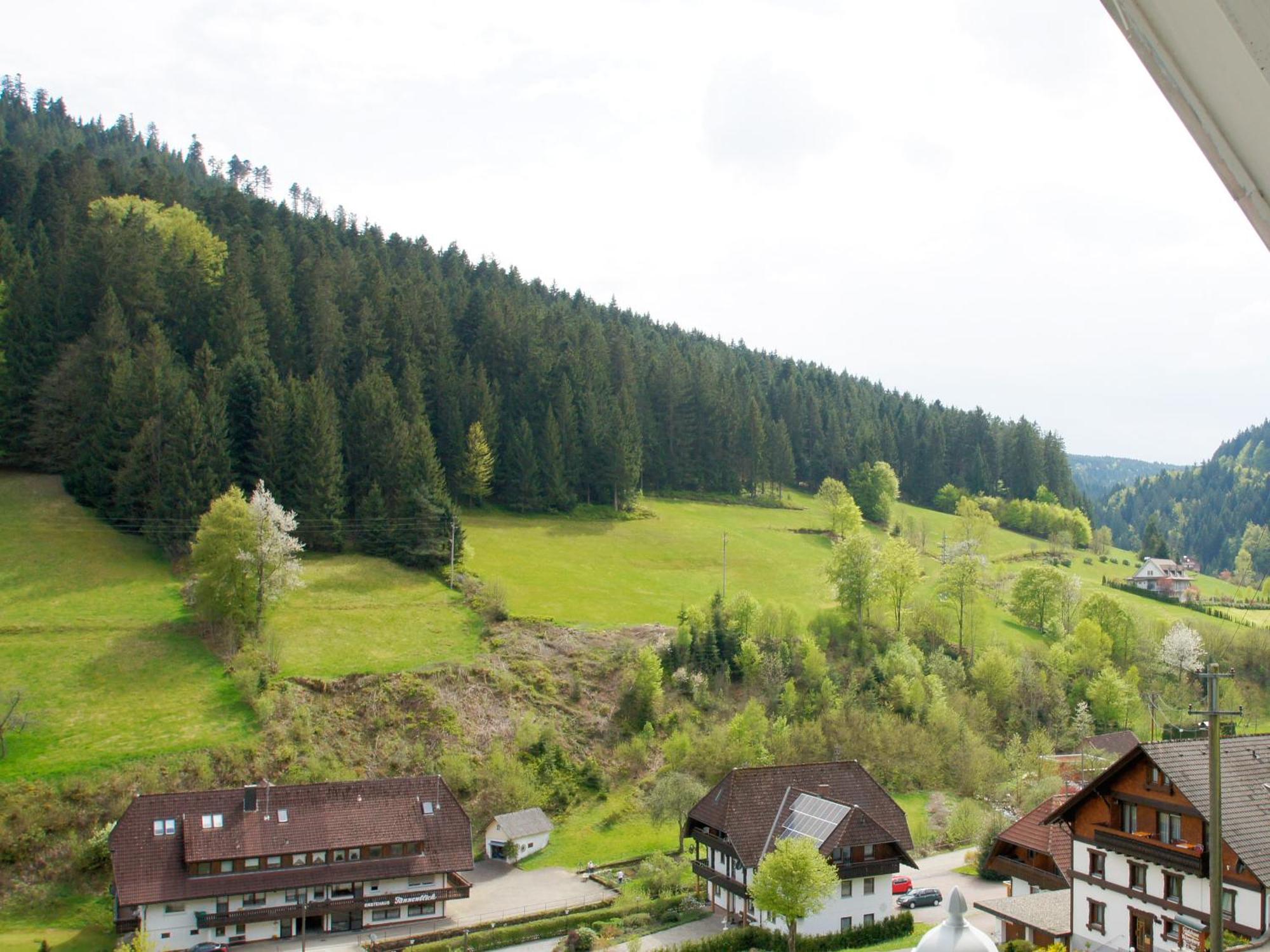 Landpension Am Sommerhang Bad Rippoldsau-Schapbach ภายนอก รูปภาพ